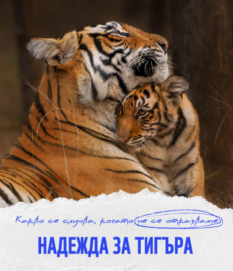 Стани закрилник на дивите животни